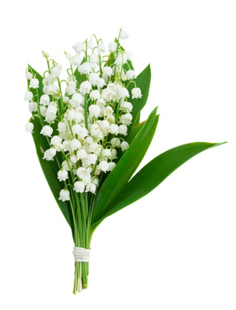 birthday flowers flower arrangement